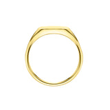 Large Gents Oval Signet Ring by Harrogate Jewellers, crafted from 9ct yellow or white gold, perfect for bespoke engraving, British made