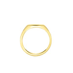 Harrogate Jewellers' slim oval signet ring in high polish 9ct yellow gold, ideal for bespoke engraving, symbol of elegant minimalist style.