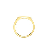 Harrogate Jewellers' slim oval signet ring in high polish 9ct yellow gold, ideal for bespoke engraving, symbol of elegant minimalist style.